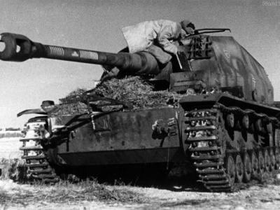 Dicker Max captured near Stalingrad