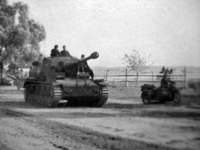 Dicker Max on move