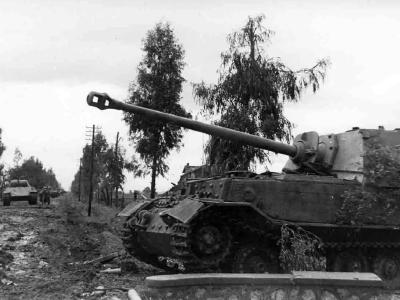 German tank destroyer Elefant 111 Italy