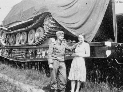 Elefant on railway flatcar
