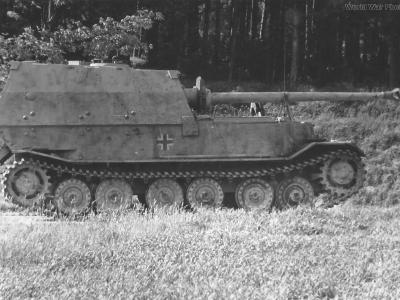 Elefant SPG