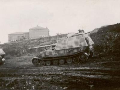 Elefant Ferdinand Tank destroyers