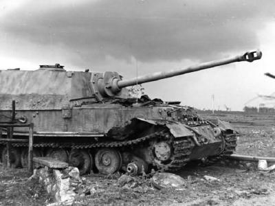 Elefant number 131 of the 1/653 Schwere Panzerjäger-Abteilung February 1944 Italy