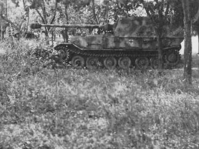 Ferdinand – Elefant 8,8 cm Pak 43/2 Sd.Kfz. 184 1944