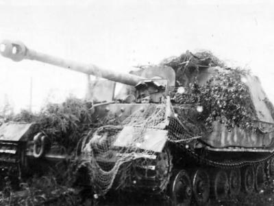 Camouflaged Panzerjäger Tiger (P) Ferdinand