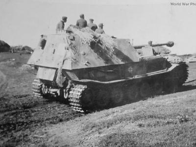 Ferdinand 312