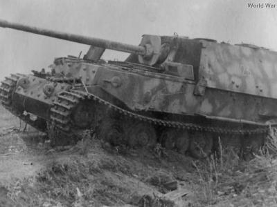 Ferdinand 723, commander Ofw Busch