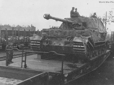 Ferdinand rail