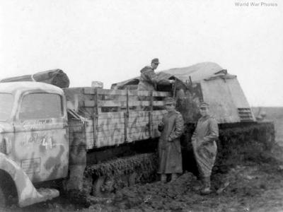 Hummel maultier