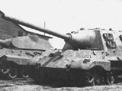Panzerjager Jagdtiger 305004