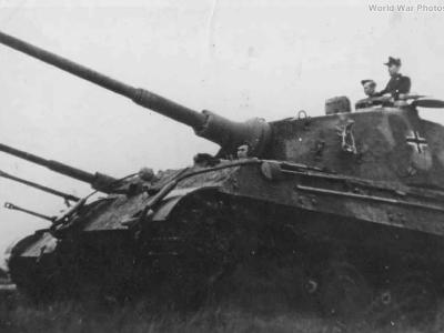 Konigstiger 503