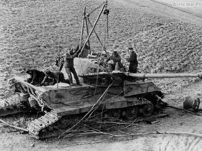 Tiger 2 501