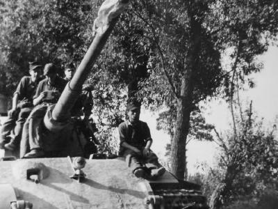 Tiger 2