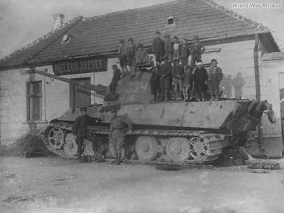 Tiger 501SS 334 Hungary