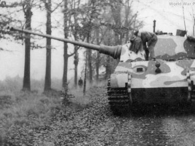 Tiger Hinterhalt