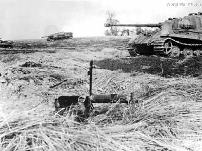 Tiger II 501 311