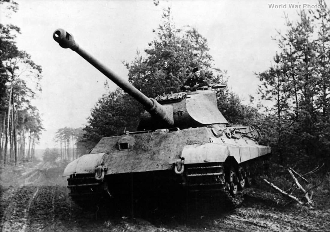 Tiger II of the Schwere Panzer-Abteilung 503 Normandy 1944 | World War ...