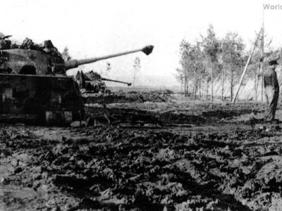 tiger tank in poland 1944