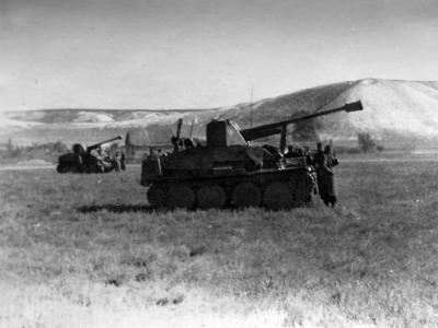 German Tank Destroyers Marder III