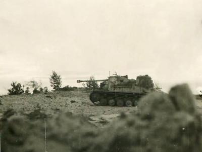 Marder II 2