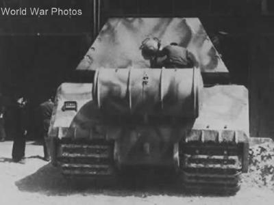Maus
