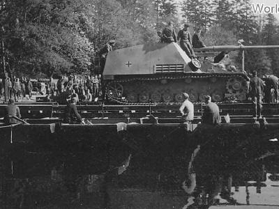 Nashorn Hornisse 