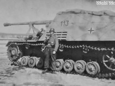 Nashorn 113