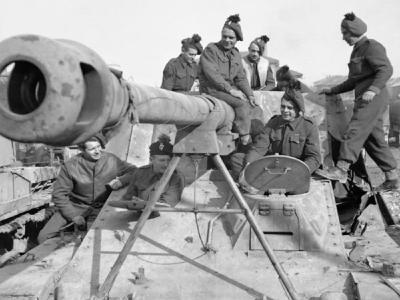 Captured Nashorn/Hornisse 7