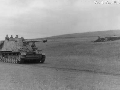 Nashorn/Hornisse 8