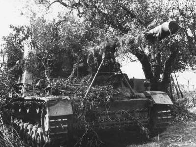 Nashorn of the schwere Panzerjäger-Abteilung 525 Italy 1944 2