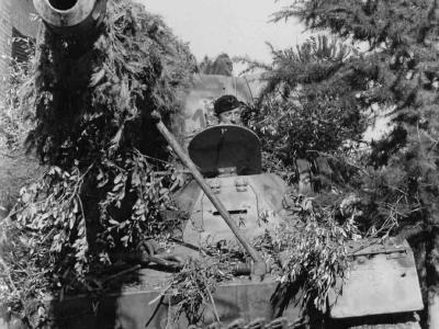 Nashorn of the schwere Panzerjäger-Abteilung 525 Italy 1944 3