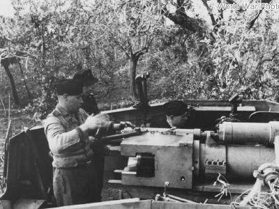 Nashorn of the schwere Panzerjäger-Abteilung 525 Italy 1944 5