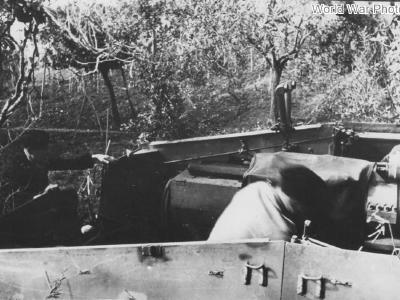 Nashorn/Hornisse of the schwere Panzerjäger-Abteilung 525 Italy 1944 7