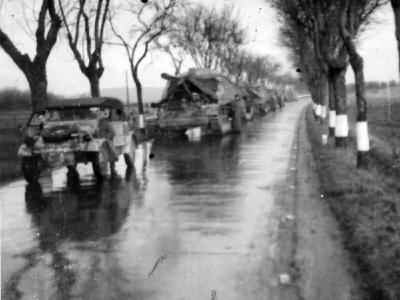 Nashorn Italy 1944