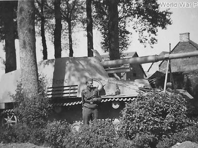 Tank destroyer Nashorn named Wespe