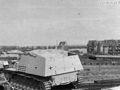 Nashorn transport