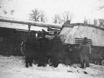 Nashorn winter camouflage