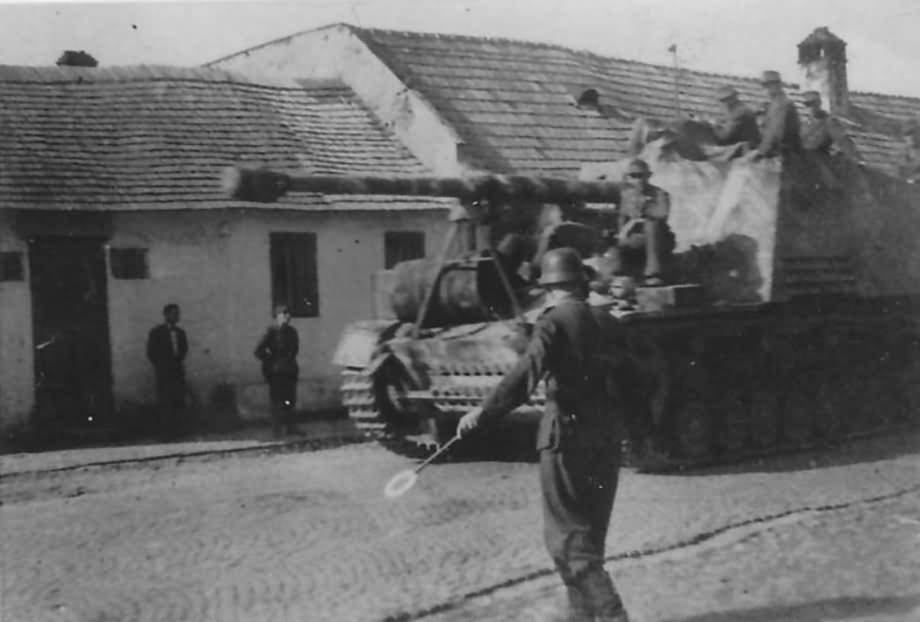 Panzerjager Nashorn Hornisse German tank destroyer 7