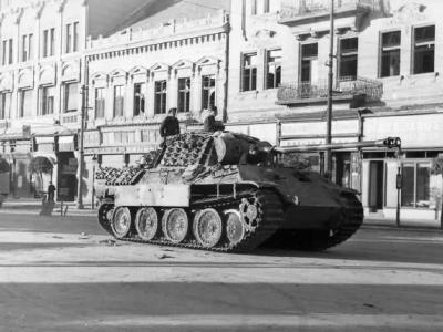 Hungary Panzer V Panther 2