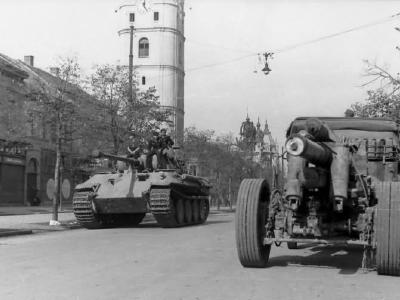 Hungary Panzer V Panther