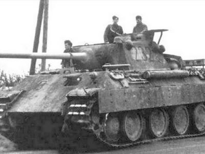 Panther ausf D number 232