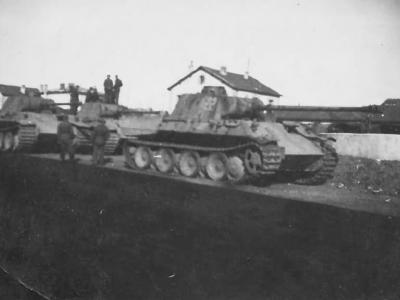 Panther ausf D tanks photo