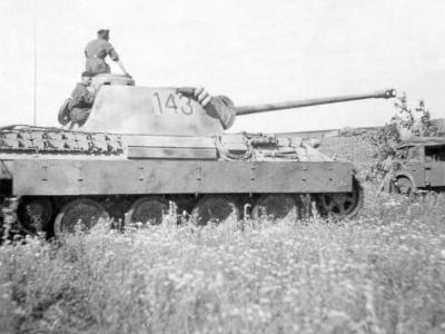 Panther Ausf D number 143
