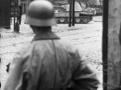 Panther in Warsaw