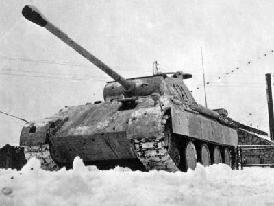 Panther number 121