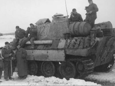 Panther number 123