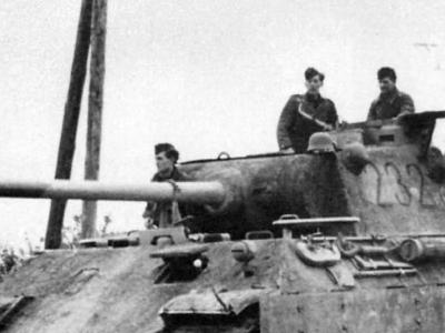 Panther number 232
