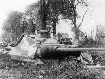 Panther number 312