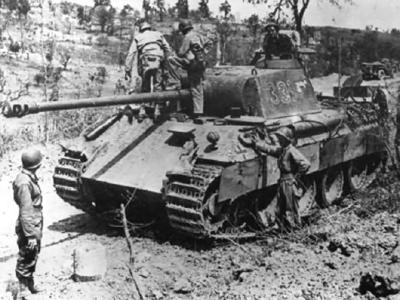 Panther number 331