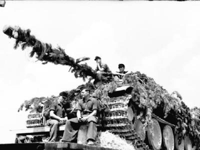 German Camouflaged Panther Tank Of 5th SS Panzer Division Wiking